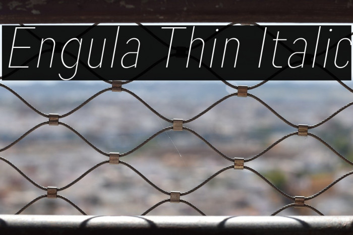 Engula Thin Italic Example 2