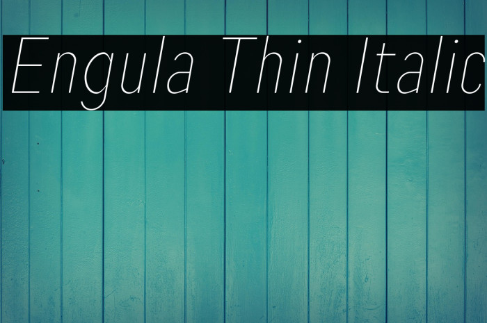 Engula Thin Italic Example 3