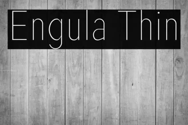 Engula Thin Example 1