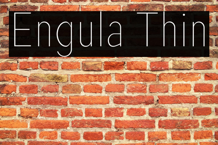 Engula Thin Example 2