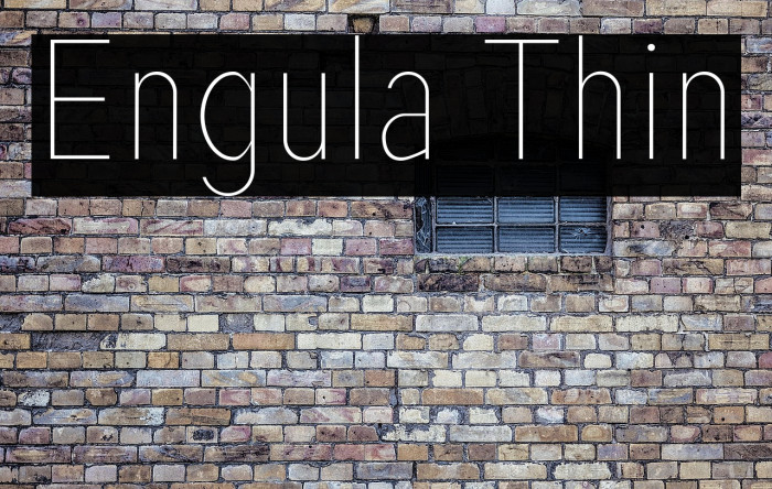 Engula Thin Example 3