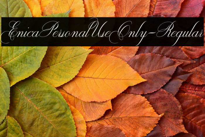 EnicaPersonalUseOnly-Regular Example 1