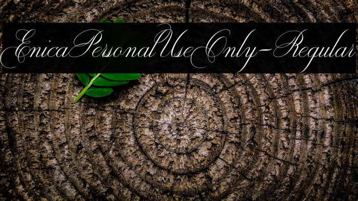 EnicaPersonalUseOnly-Regular Example 2