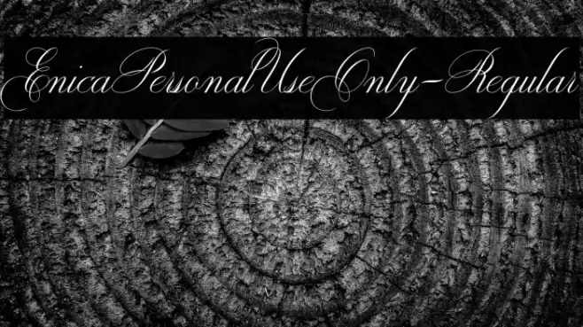 EnicaPersonalUseOnly-Regular Example 2