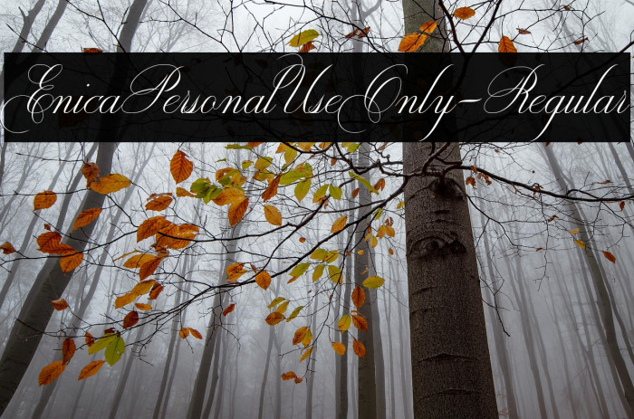 EnicaPersonalUseOnly-Regular Example 3