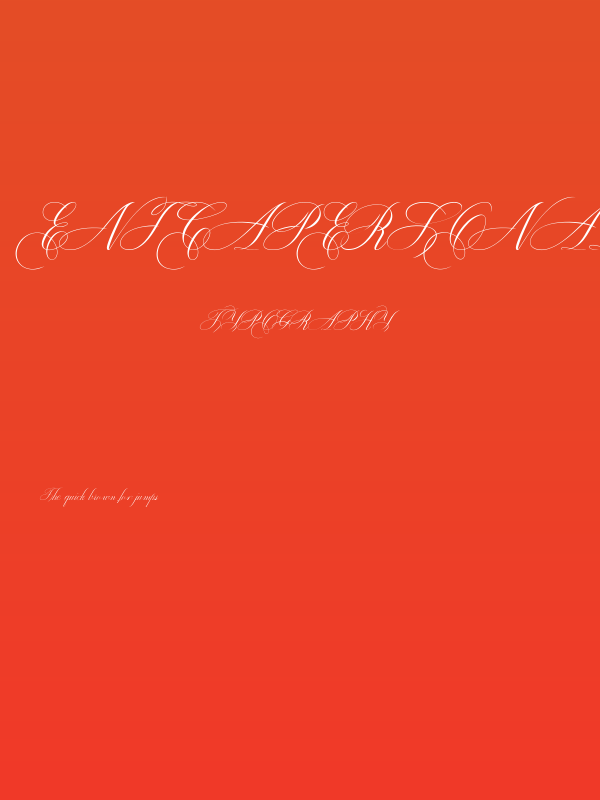 EnicaPersonalUseOnly-Regular Poster