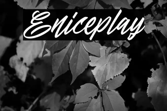 Eniceplay Font examples