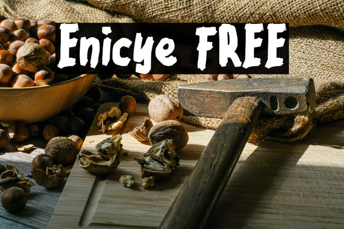 Enicye FREE Example 3