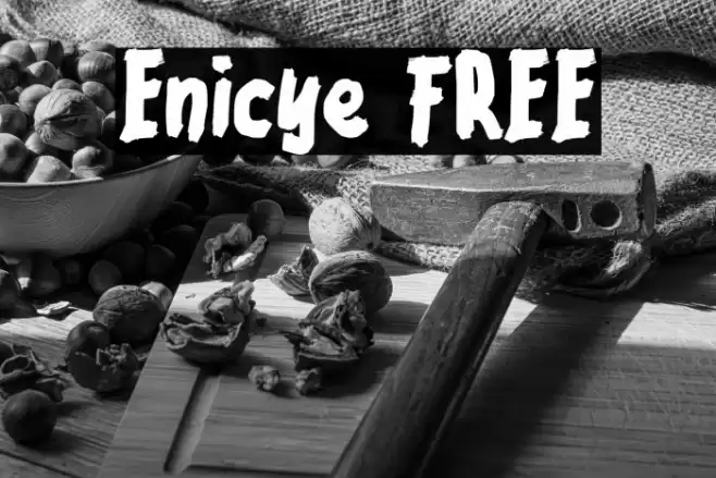 Enicye FREE Font examples