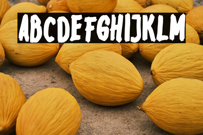 EnicyeFREE Example 2