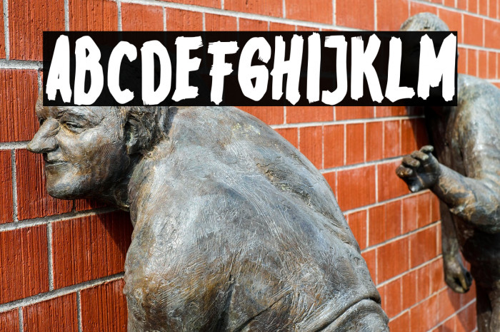 EnicyeFREE Example 3