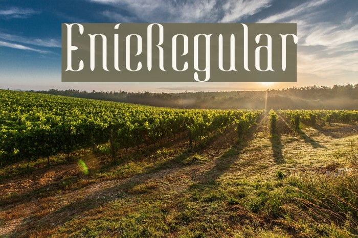 EnieRegular Example 1