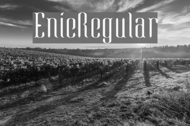 EnieRegular Font examples