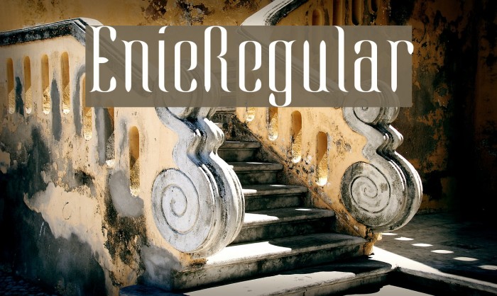 EnieRegular Example 2