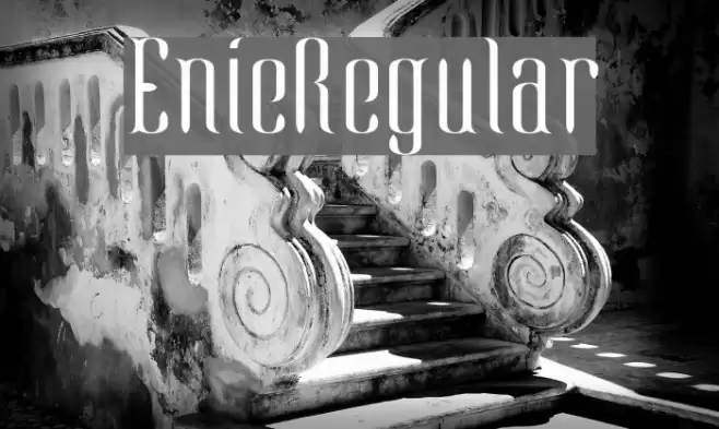EnieRegular Font examples