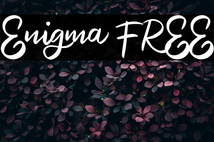 Enigma FREE Example 1