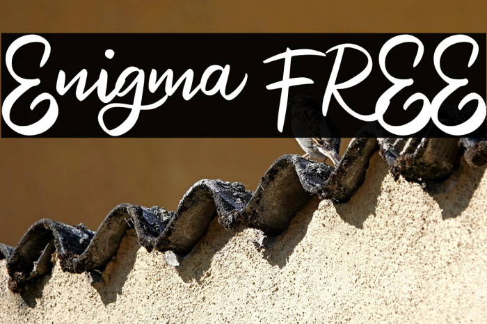 Enigma FREE Example 2