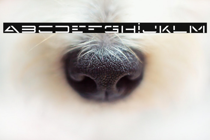 Enigma Key Example 2