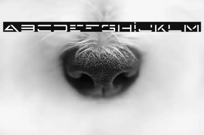 Enigma Key Font examples