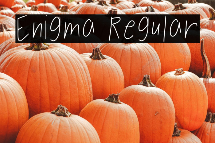 Enigma Regular Example 1