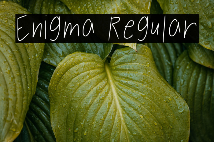 Enigma Regular Example 2