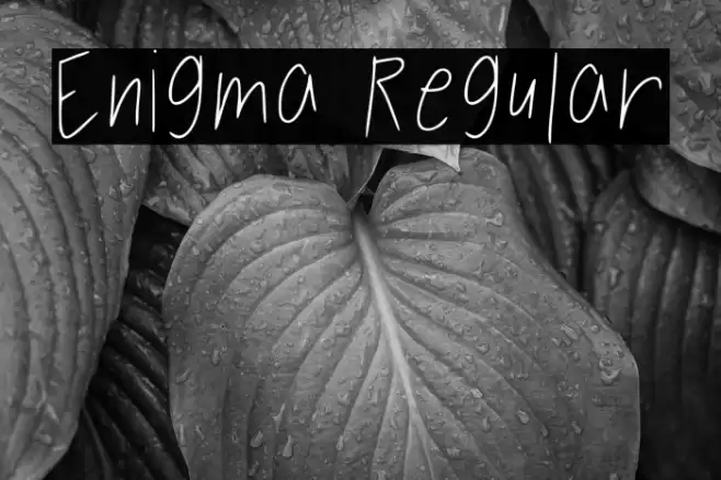 Enigma Regular Font examples