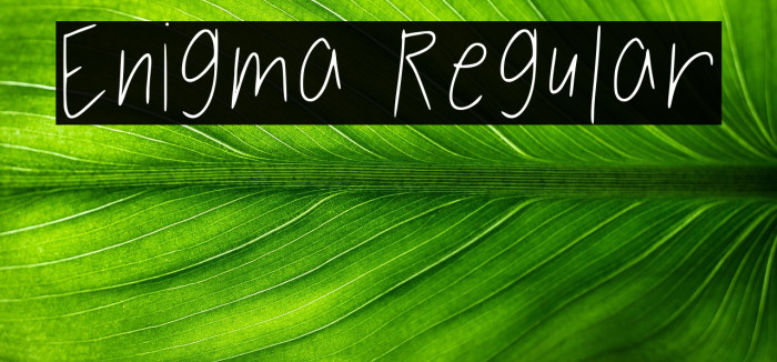 Enigma Regular Example 3