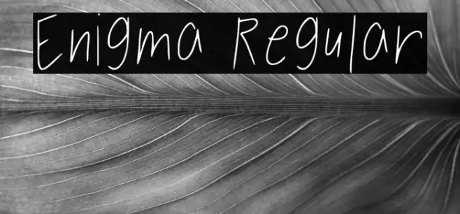 Enigma Regular Font examples