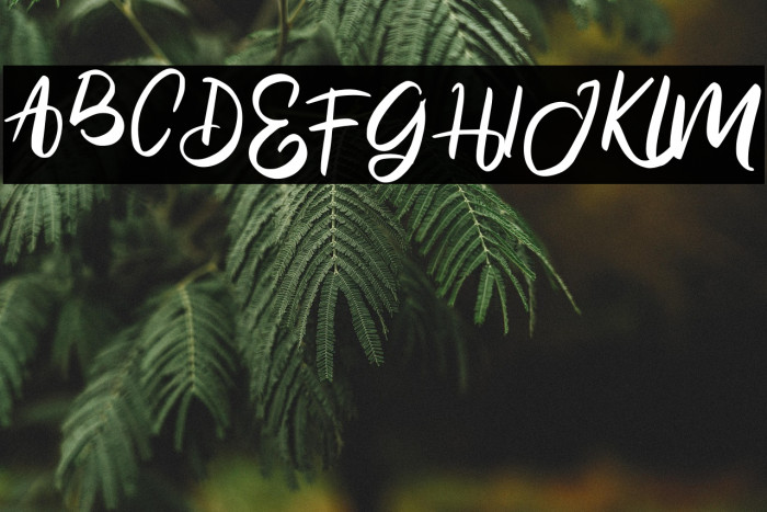 EnigmaFREE Example 1