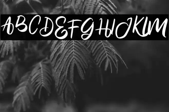 EnigmaFREE Font examples