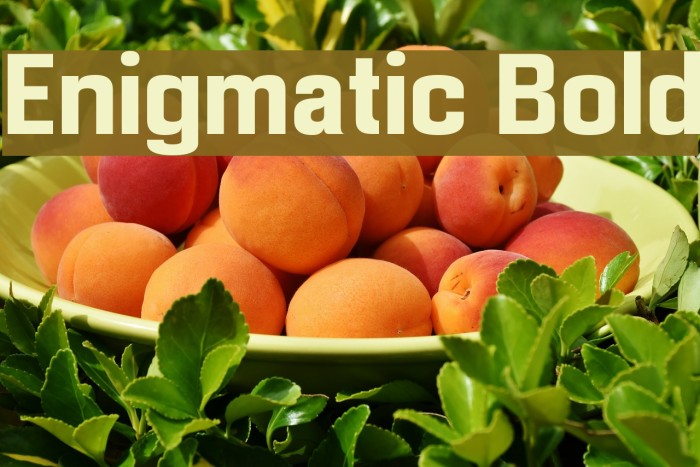 Enigmatic Bold Font examples