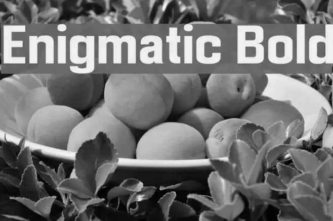 Enigmatic Bold Example 3