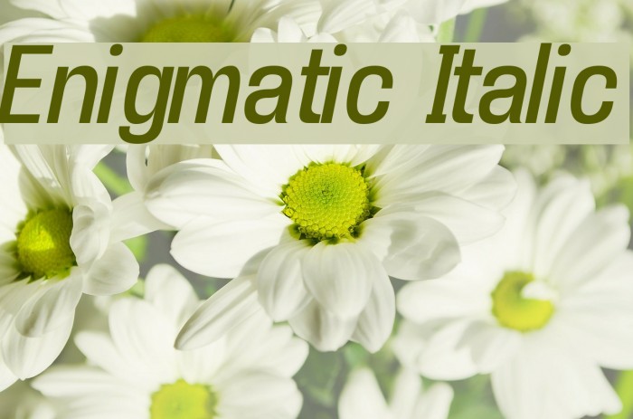 Enigmatic Italic Font examples