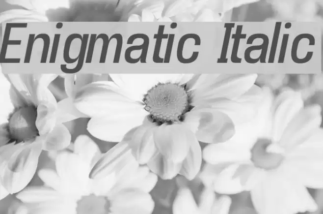 Enigmatic Italic Font examples