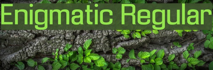 Enigmatic Regular Font examples
