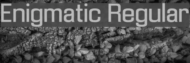 Enigmatic Regular Fonte examples