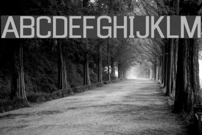 Enigmatic Font examples