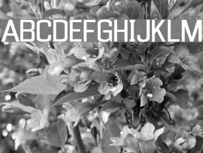 Enigmatic Font examples