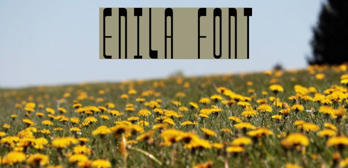 Enila Font examples