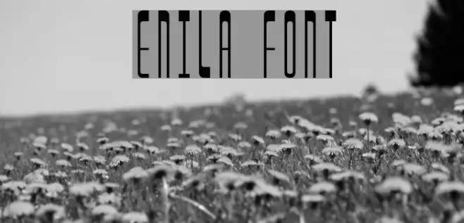 Enila Example 2