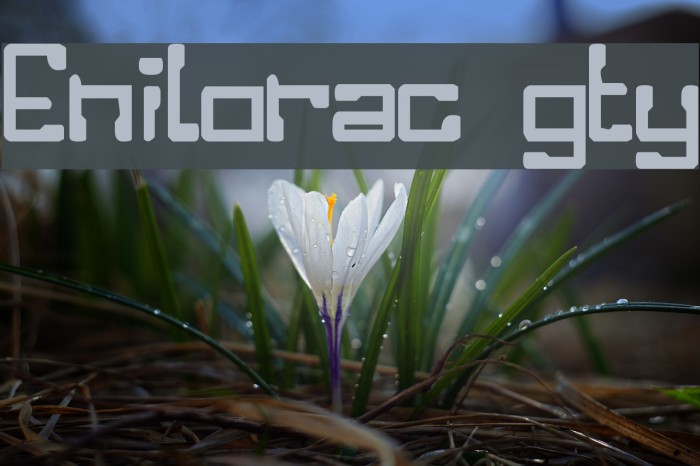 Enilorac gty Font examples