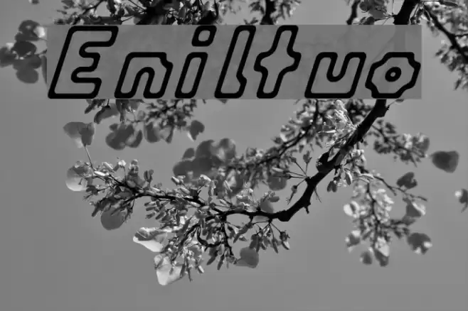 Eniltuo Font examples