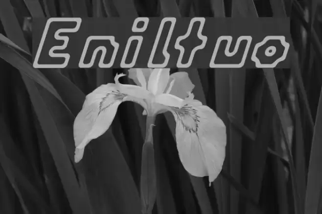 Eniltuo Font examples