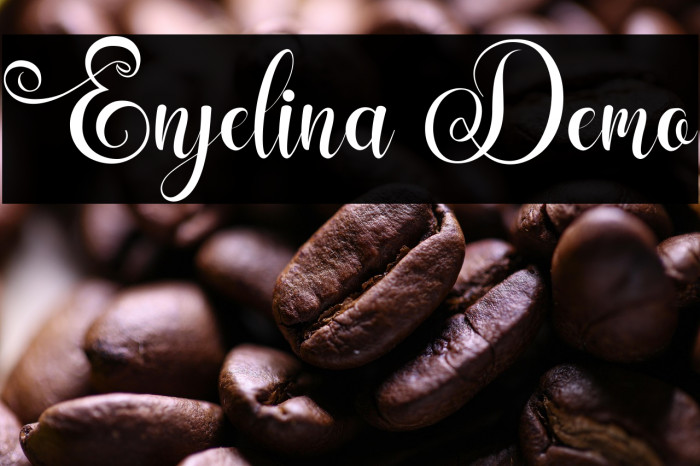 Enjelina Demo Example 2