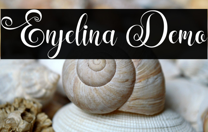 Enjelina Demo Example 3
