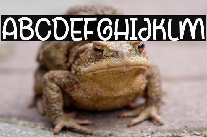 Enjoi Crafter Example 2