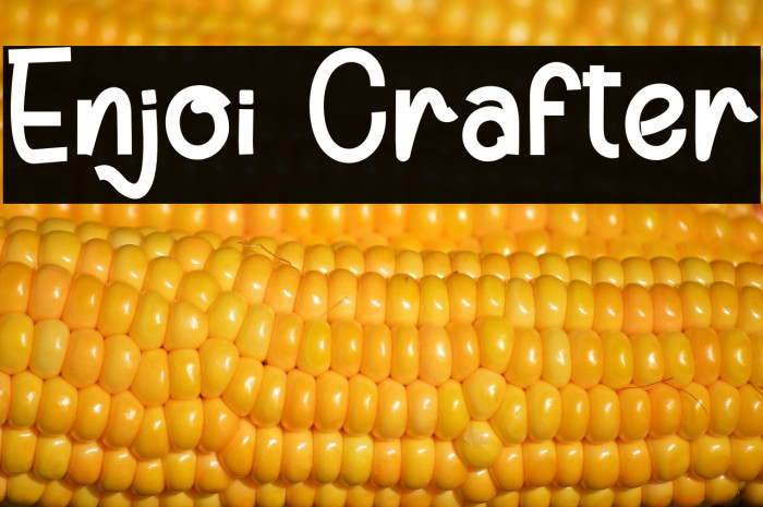 Enjoi Crafter Example 2