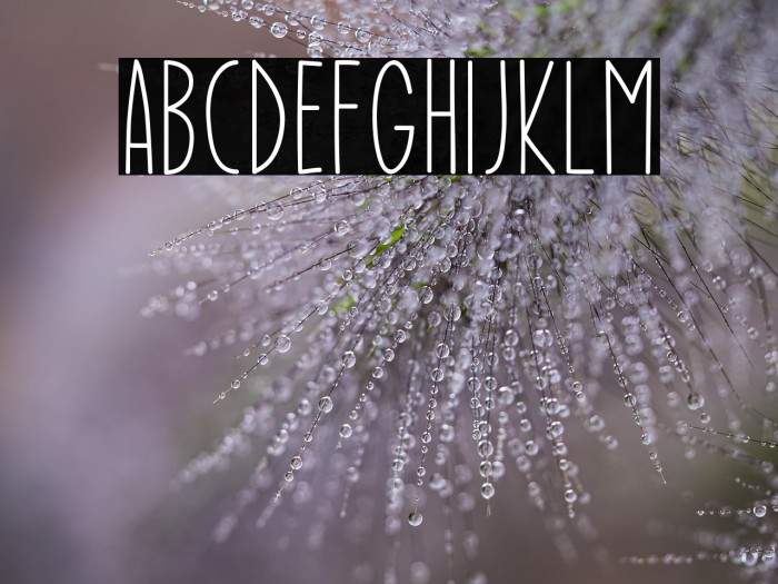 Enjoy Christmas Example 2