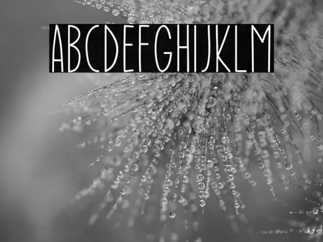 Enjoy Christmas Font examples