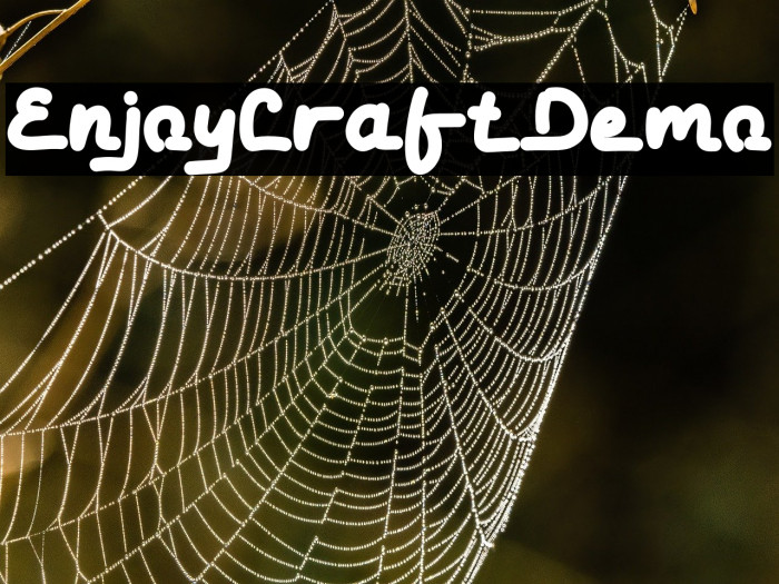 Enjoy Craft Demo Example 3